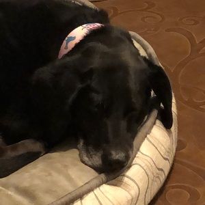 Meet your Posher, Ccynthia